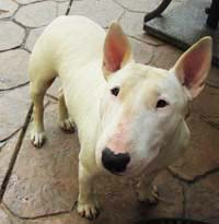 Miss Bullseye